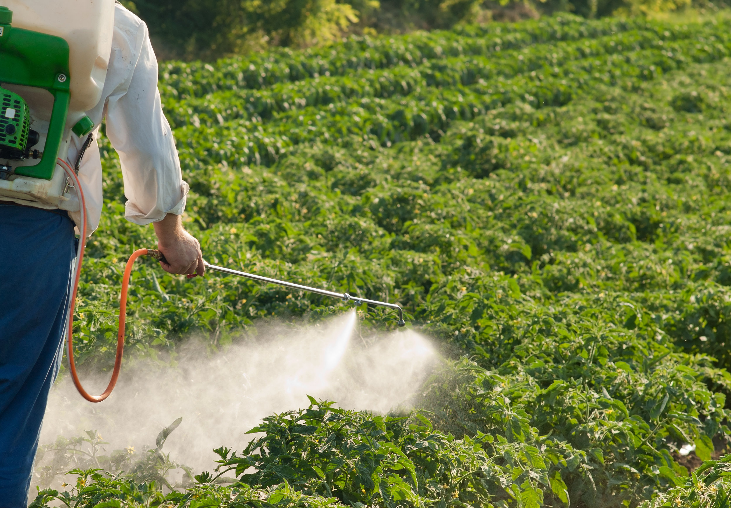 Первые пестициды. Удобрения в сельском хозяйстве. Ядохимикаты в сельском хозяйстве. Удобрения и пестициды. Пестициды ядохимикаты.
